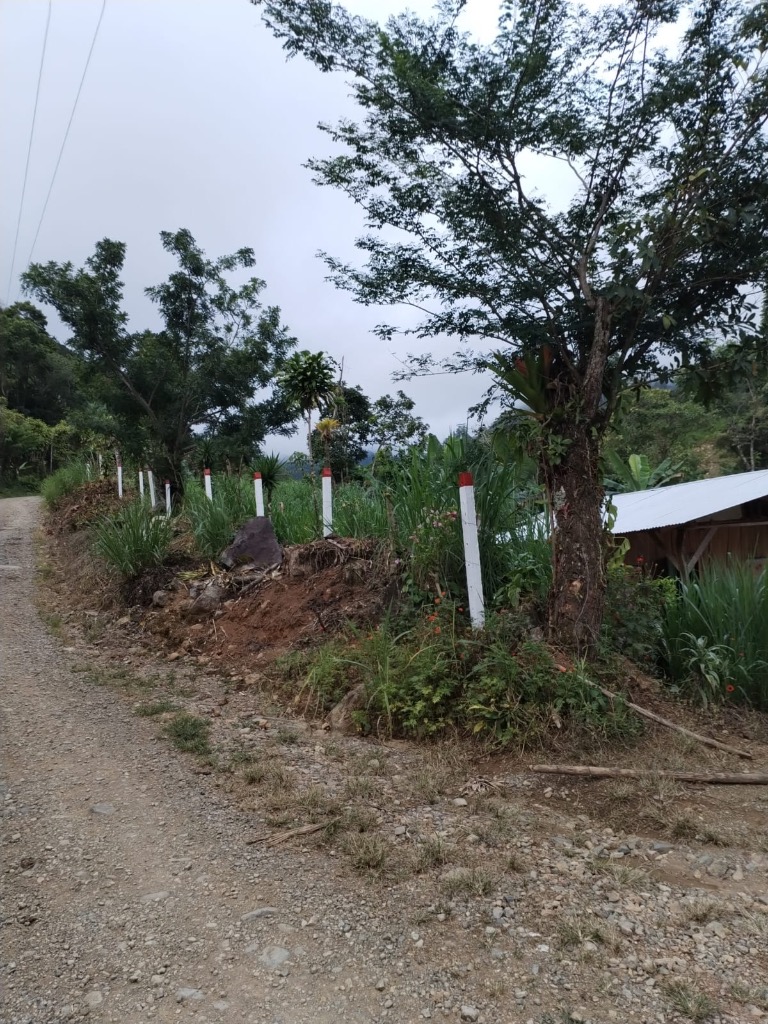 Imagen Listing 10481